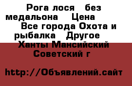 Рога лося , без медальона. › Цена ­ 15 000 - Все города Охота и рыбалка » Другое   . Ханты-Мансийский,Советский г.